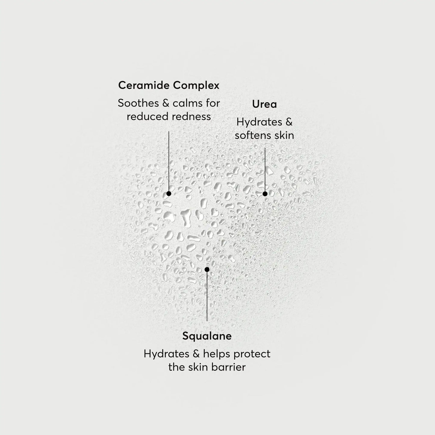 barrier-bounce-bi-phase-mist-x2 NATR-10167-Alt-Images-Barrier-Bounce-Bi-Phase-Toner-Mist_01.webp