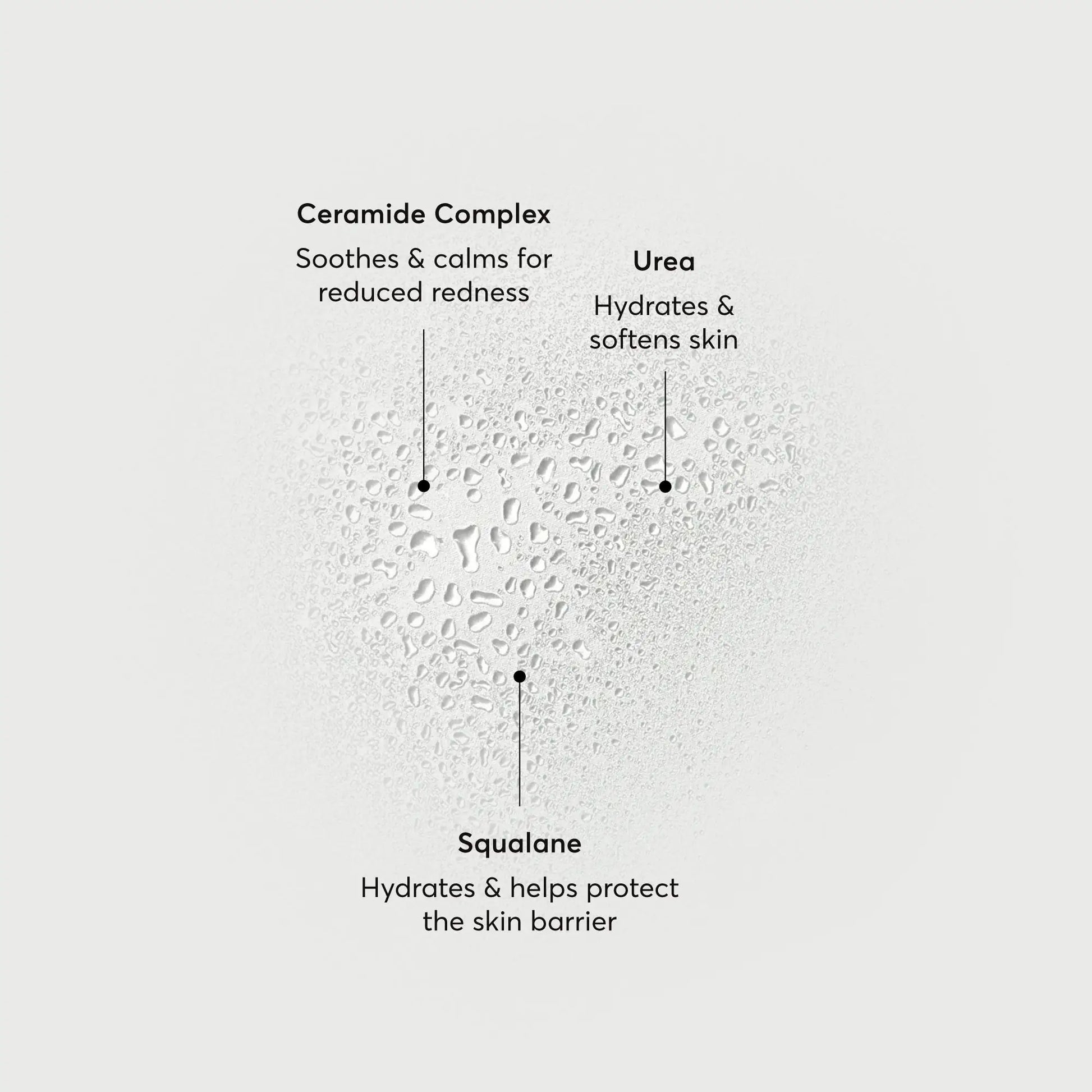 barrier-bounce-bi-phase-mist-x2 NATR-10167-Alt-Images-Barrier-Bounce-Bi-Phase-Toner-Mist_01.webp