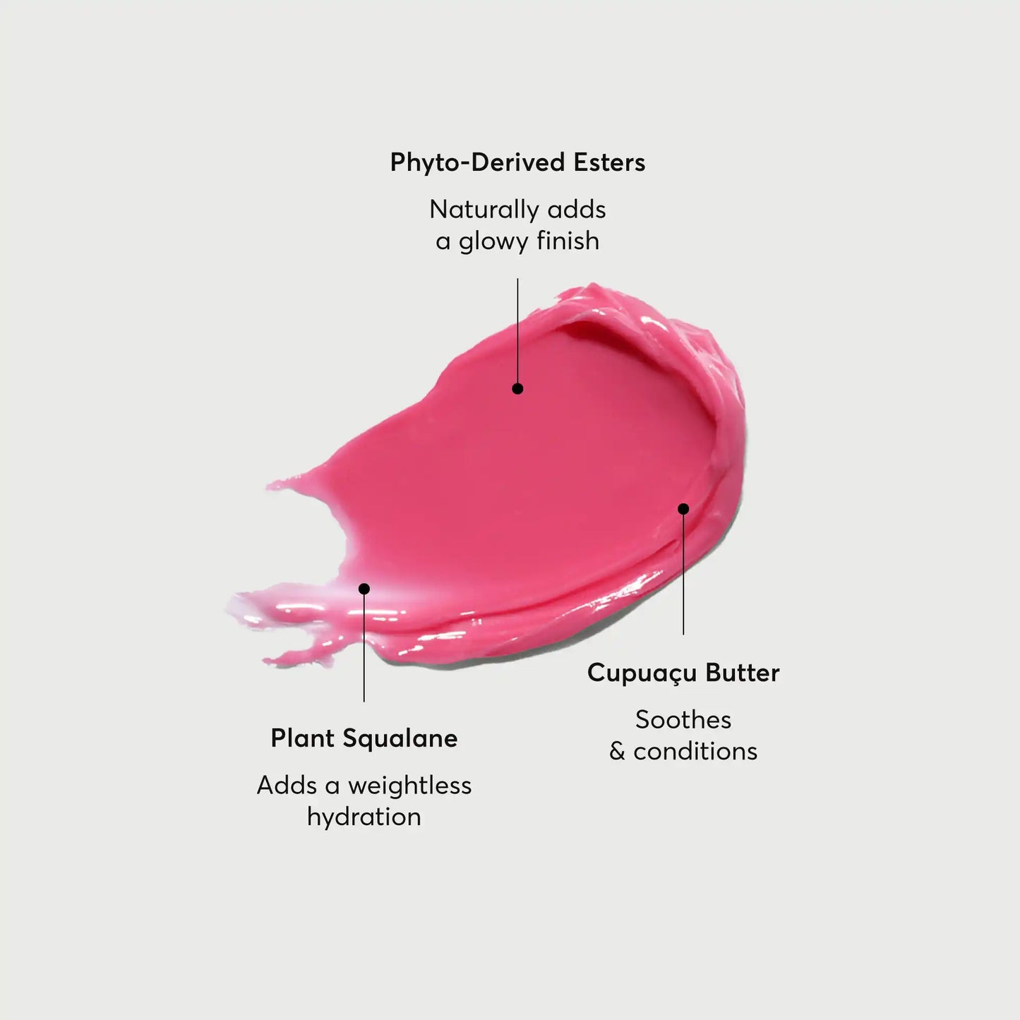 phyto-glow-lip-balm-camellia-w3 NATR-60075-Alt-Images-Phyto-Glow-Lip-Balm-Camellia-01.webp